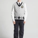 British Collegiate V-Neck Vest